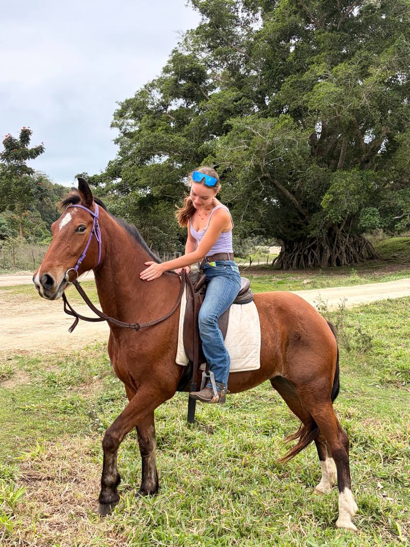 Emma in the saddle on Sol, a bay horse, under a big banyan tree on the farm